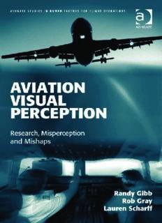 Aviation Visual Perception